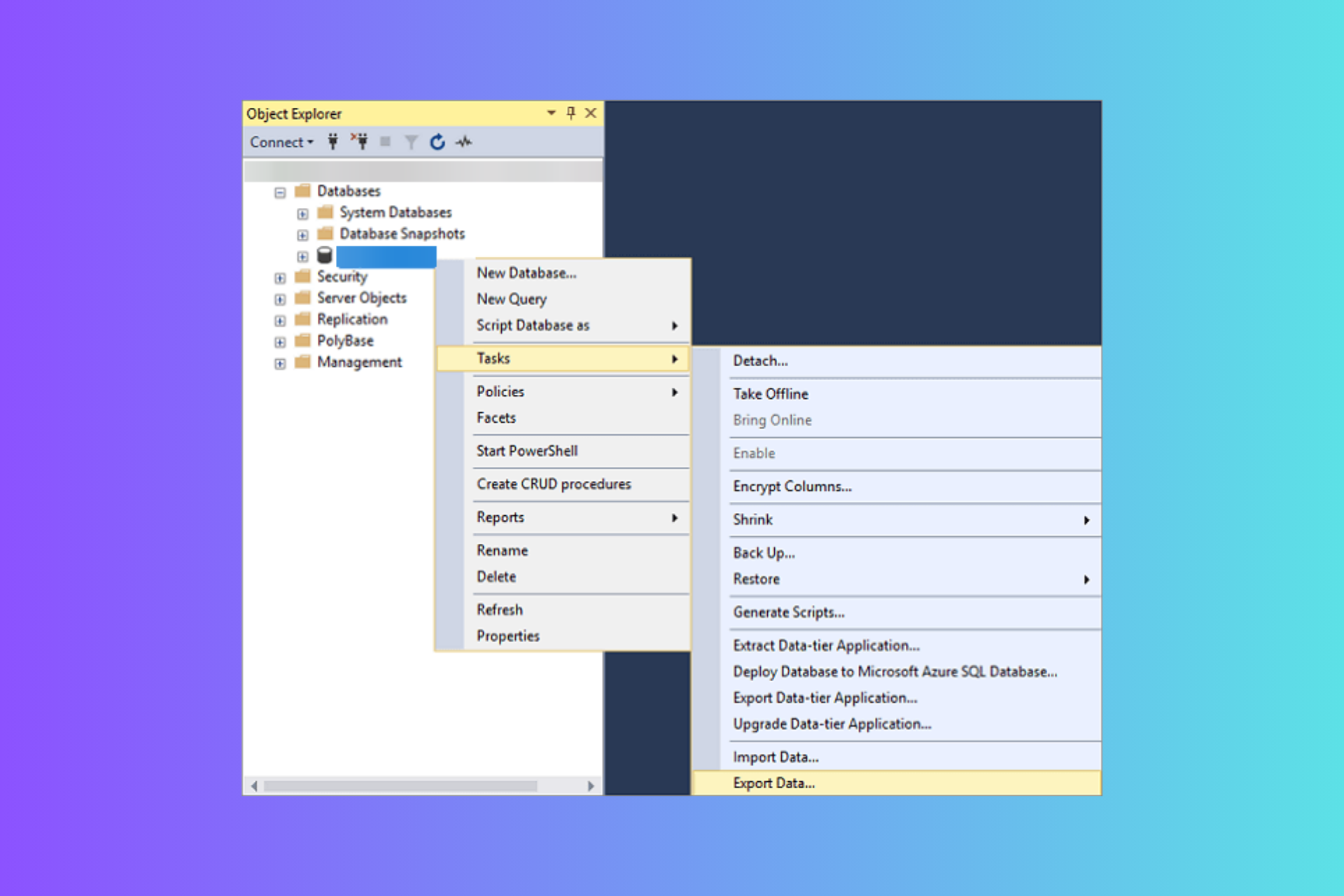 How to Open the SQL .BAK Files in Excel